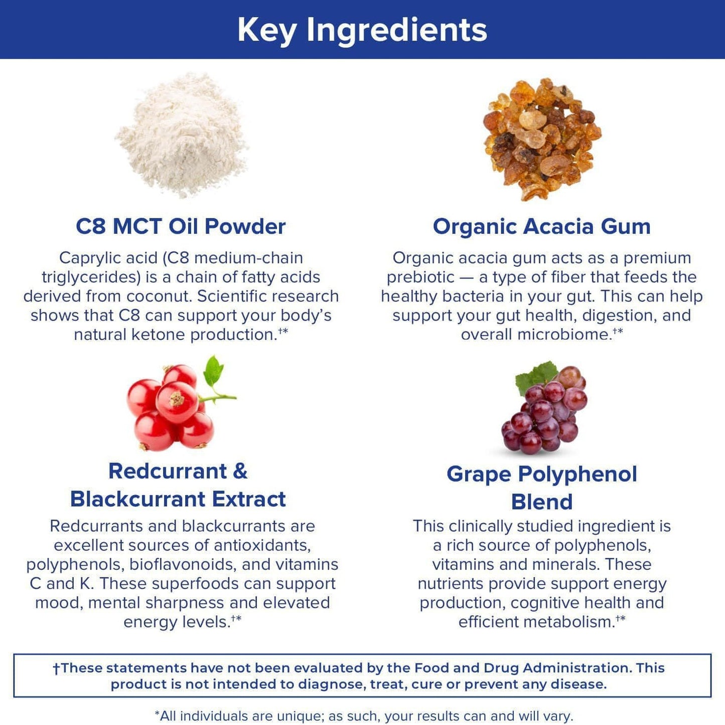 MCT Wellness®