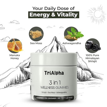 3-IN-1 WELLNESS GUMMIES